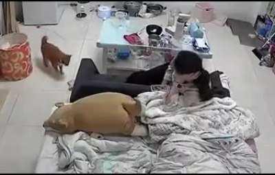 WTF was that; oh it's just you!!!