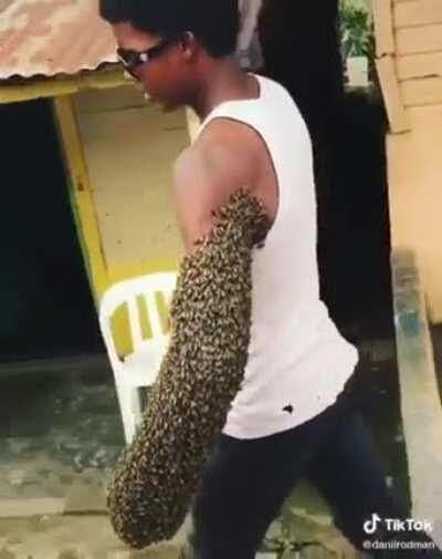 So the Aburame-Clan is real