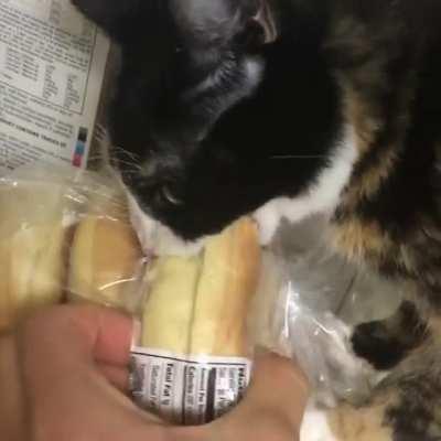 Banana Bruising Bagel Biter