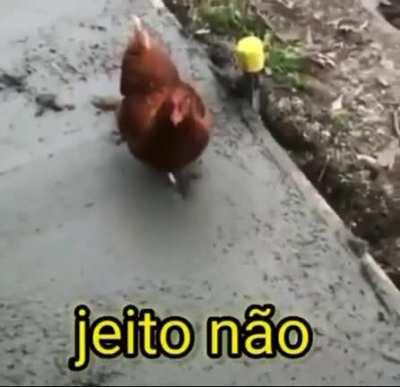 Vᴀɪ ᴜᴍ ғʀᴀɴɢᴜɪɴ ᴀᴇ?