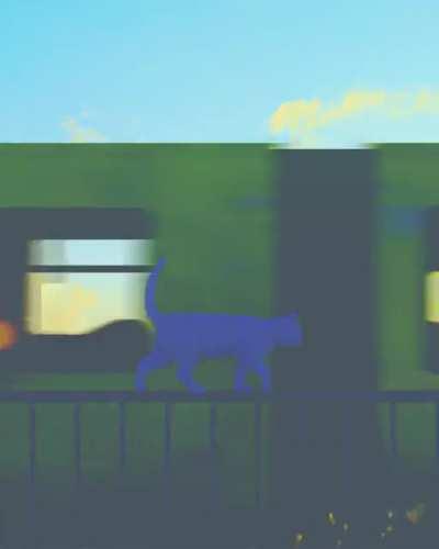 Live like a cat, ponder the Walk and focus on the Present