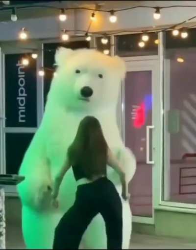 HMC polar bear