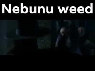 Reupload, deoarece contul vechi o fost sters, NEBUNU WEED IN ACTIUNE OMFG 😎😎😎😎