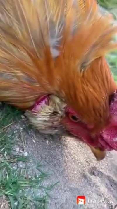 They found a glitch in one model