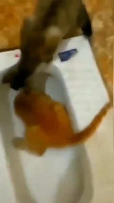 I think we all have questions… or not