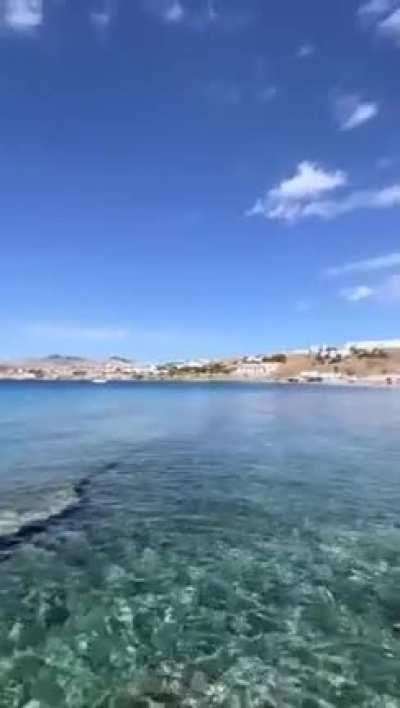 Sarah Curr [Free Friday]