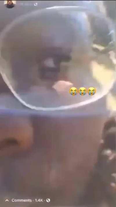 Sometimes we must suffer for our art 😂