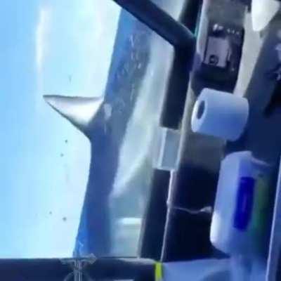 Shark jumps onto the bow of a small fishing boat