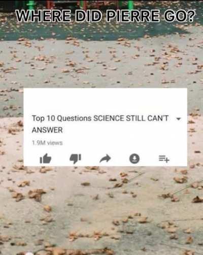 Ayo? Where did he go tho?