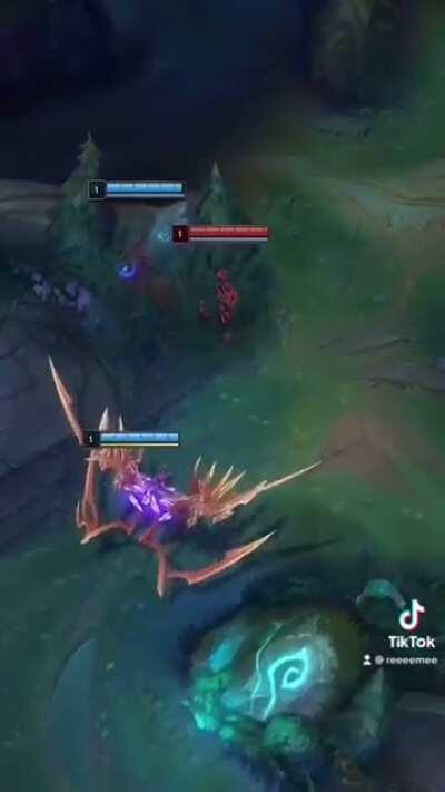 Yuumi ruined the whole operation.