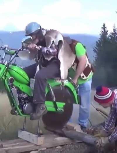 The chainsaw bike