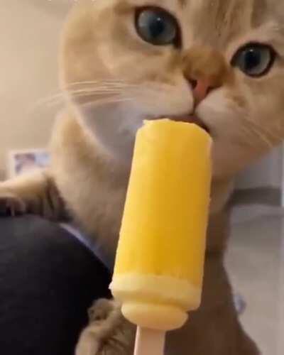 Wow, this tastes so goooood!