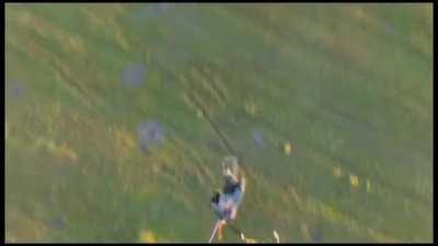 Ukrainian drone managed to steal/recover 2 Russian drones and bring them back to their own position