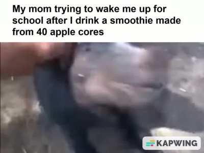 I got a day off school!