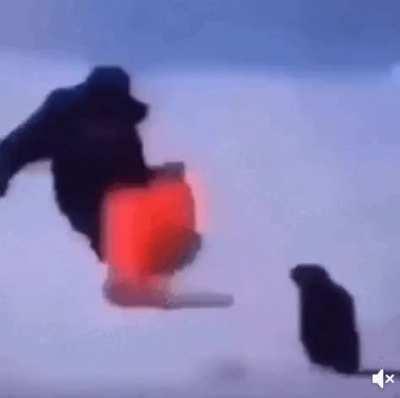 Almost definitely a repost, but I had fun with it so here ya go