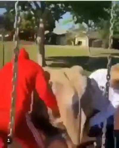 (probably a repost) Dares....