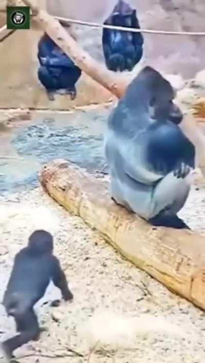 Little brat is asking for it