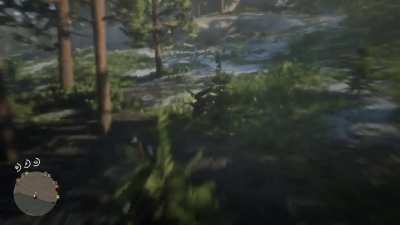 I’m new to red dead, is this normal?