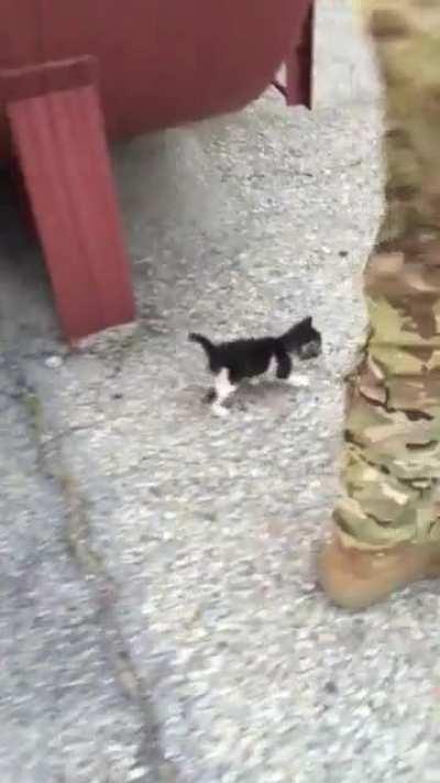 More of Major Mittens (thanks u/Chairman-Dao) walking with us from the helipad.