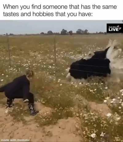 Finding that person that can actually understands you and has the same tastes that you have, truly gives you an incredible feeling