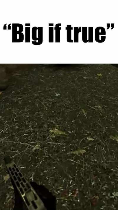 Do you guys think that there will be cinematic mod alyx in half life 2