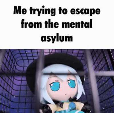 Most mentally stable Koishi fan