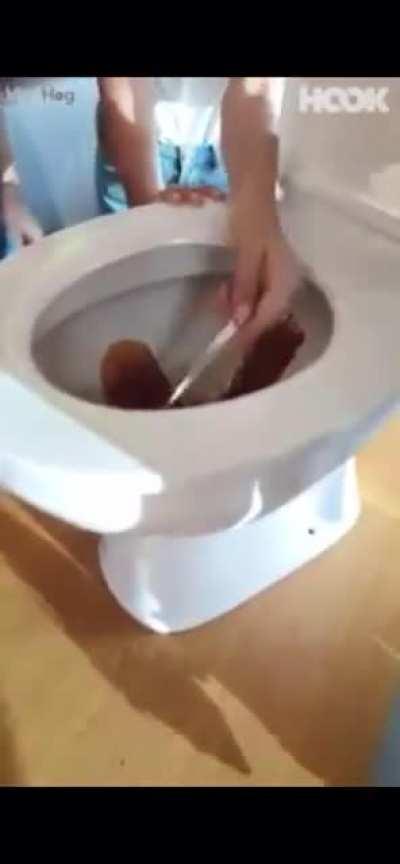 WHAT. THE. ACTUAL. ????