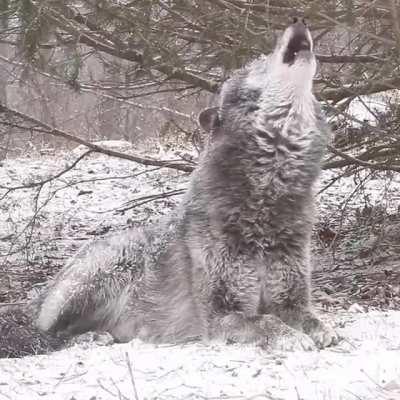 отдыхаешь такой себе...