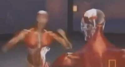 me after making a single mistake against Kazuya