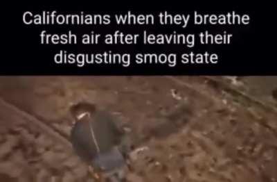 Moldy Air