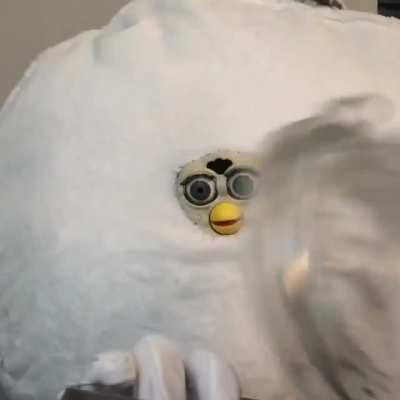 Cursed_Furby