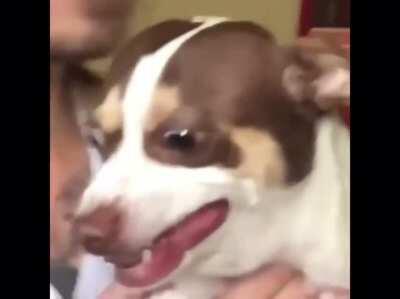 I love you, mr. bubs