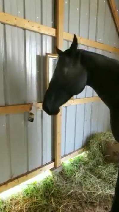 Mirror mirror on the wall