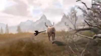 I got a bullseye too!