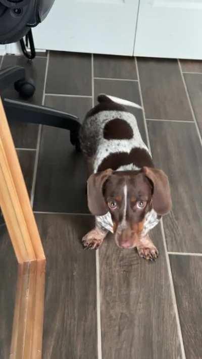 Mabel “stomps” her feet to get what she wants.