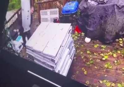 A beautiful and solid house