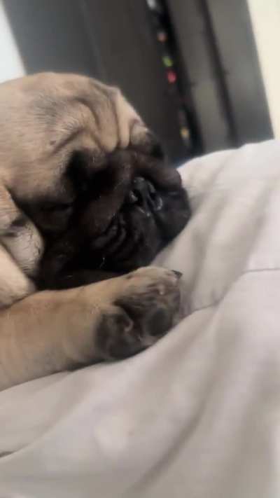 Thought there was something vibrating.. oh the sound you hear every night 🤭