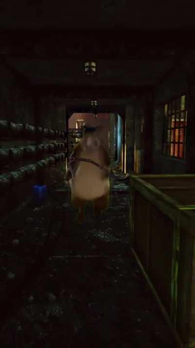 When you spawn Glass hallway and you're new