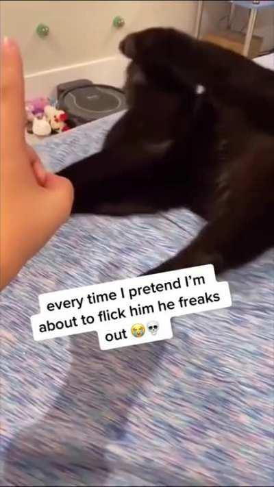 got a glitch in his software!!