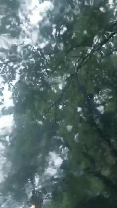 Trapped in car, beautiful rain fall. Arlington VA