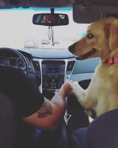Good boy needs to have his paw hold by his dad