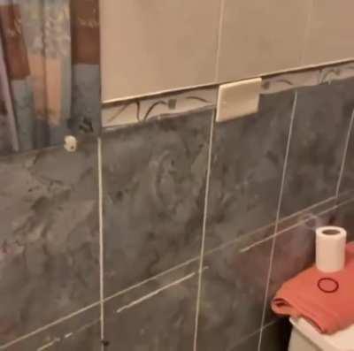 HMF while I do a manboob punch.