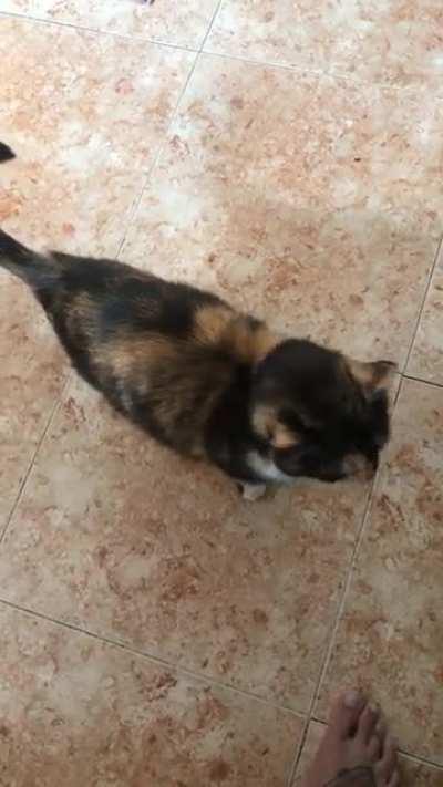 Thank you for coming to my TED Talk.