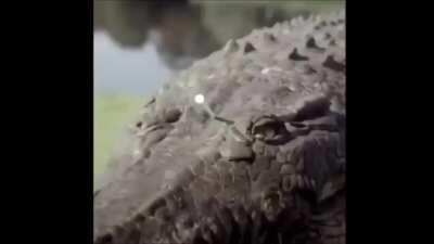 Estoi pesao i aborrido