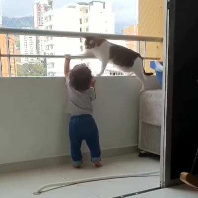 Cat is worried for the baby.