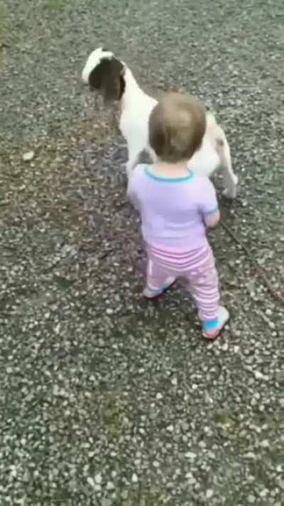 Deserved what he got!!