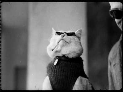 via depths of wikipedia