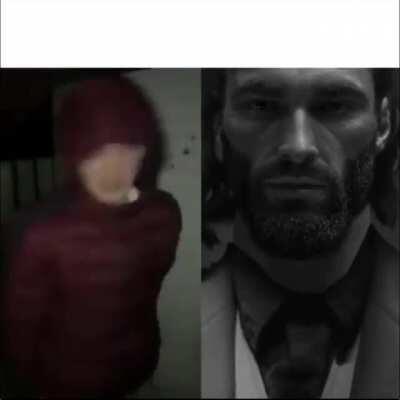 Average Fan vs Avarage Enjoyer ( Gigachad )