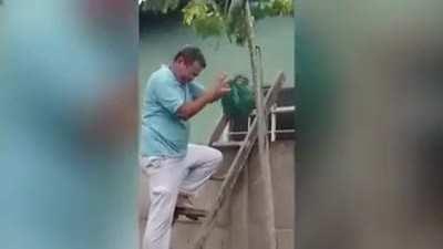 Man tries to remove wasp nest with plastic bag