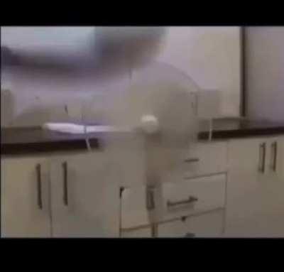 How to basics. How to cook a fish